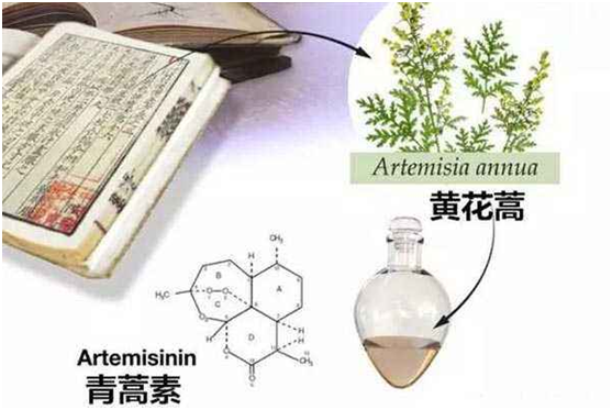 qiuyouhui球友会平台（中国）集团,：向中医药看齐，与世界共享中医药文化(图1)